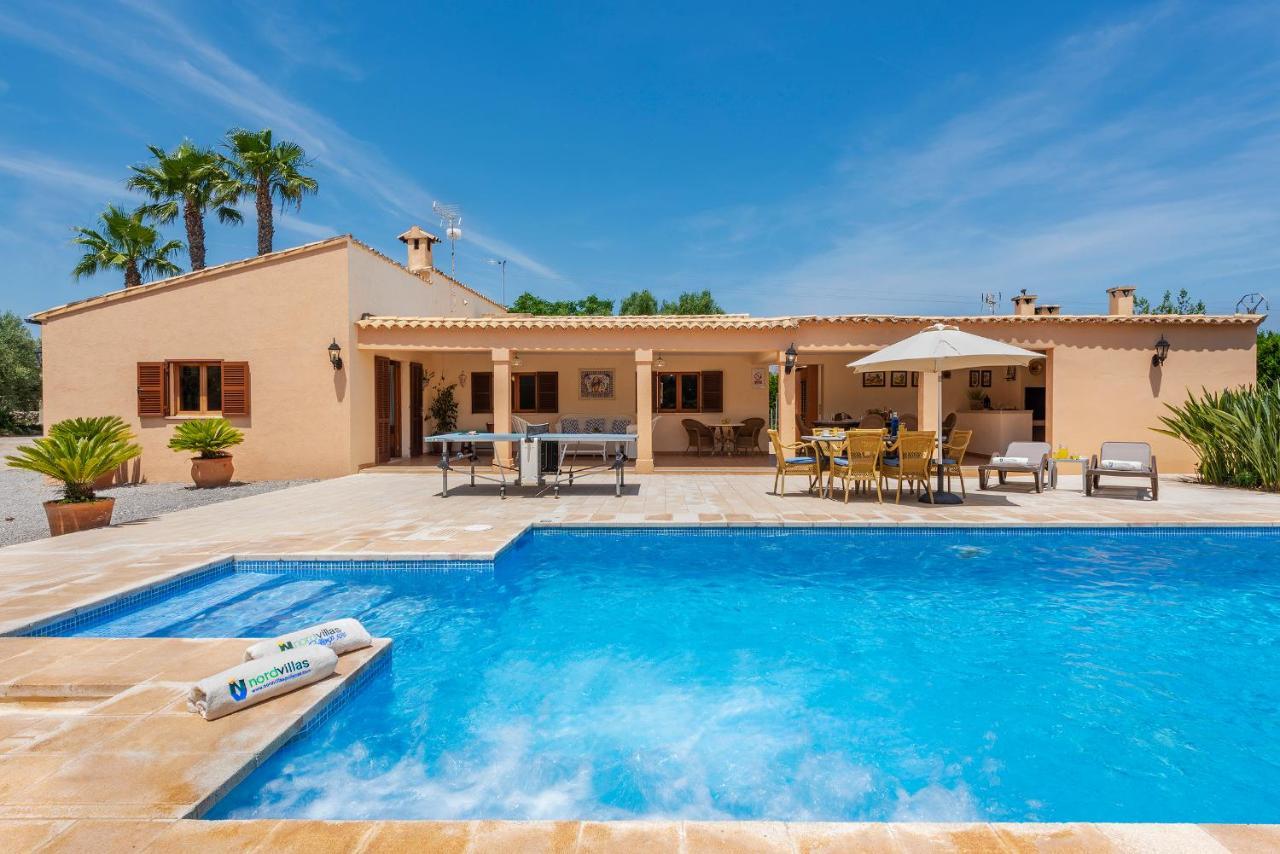 Aina Francisca Alcudia (Mallorca)